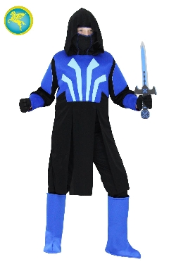 CAVALIERE DEL GHIACCIO